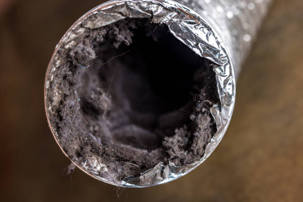 Best HVAC System Cleaning  in Grandview, MO