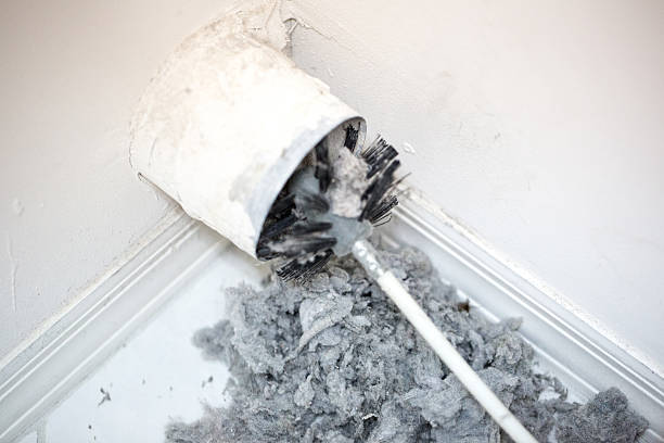 Best Dryer Vent Cleaning Services  in Grandview, MO